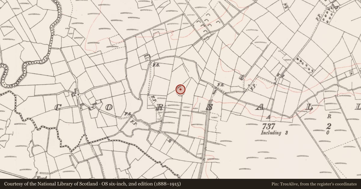 Ordnance Survey six-inch map, 2nd edition (1888–1915) covering the location of Barrow - ring-barrow, Corsallagh, County Sligo, with a pin at the register's coordinates