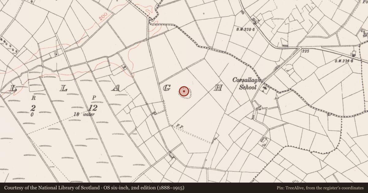 Ordnance Survey six-inch map, 2nd edition (1888–1915) covering the location of Enclosure, Corsallagh, County Sligo, with a pin at the register's coordinates