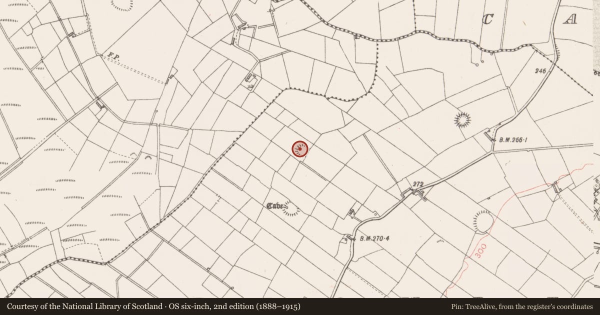 Ordnance Survey six-inch map, 2nd edition (1888–1915) covering the location of Ringfort - rath, Carrowreagh (Knox), County Sligo, with a pin at the register's coordinates