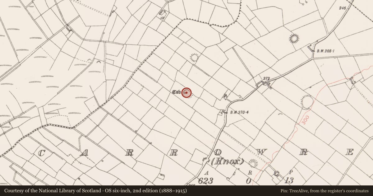 Ordnance Survey six-inch map, 2nd edition (1888–1915) covering the location of Ringfort - rath, Carrowreagh (Knox), County Sligo, with a pin at the register's coordinates