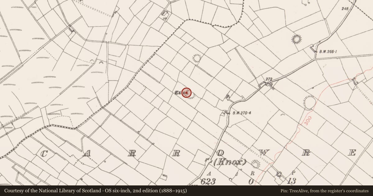 Ordnance Survey six-inch map, 2nd edition (1888–1915) covering the location of Souterrain, Carrowreagh (Knox), County Sligo, with a pin at the register's coordinates