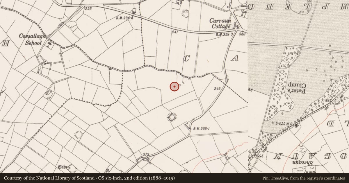 Ordnance Survey six-inch map, 2nd edition (1888–1915) covering the location of Fulacht fia, Carrowreagh (Knox), County Sligo, with a pin at the register's coordinates