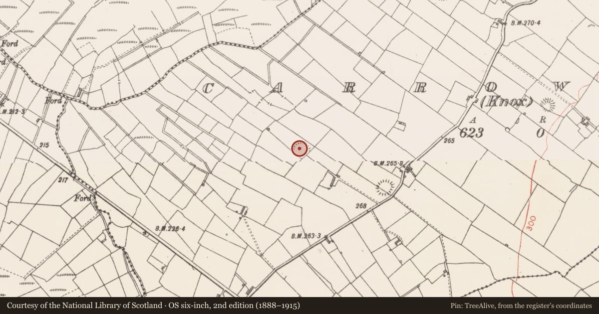 Ordnance Survey six-inch map, 2nd edition (1888–1915) covering the location of Ringfort - rath, Carrowreagh (Knox), County Sligo, with a pin at the register's coordinates