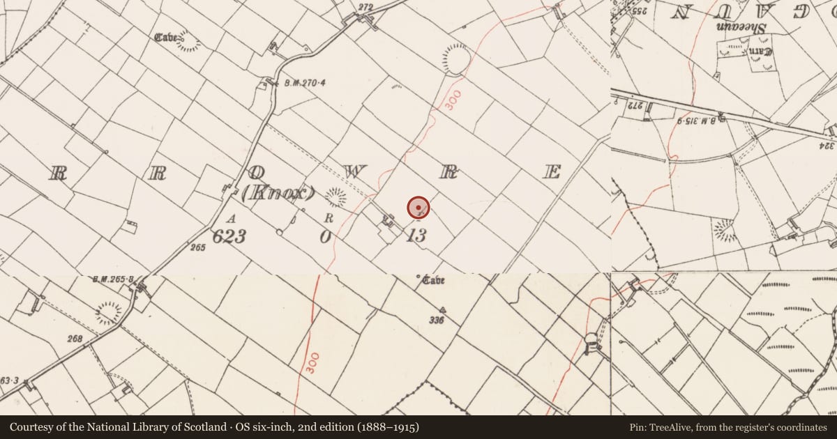 Ordnance Survey six-inch map, 2nd edition (1888–1915) covering the location of Ringfort - rath, Carrowreagh (Knox), County Sligo, with a pin at the register's coordinates