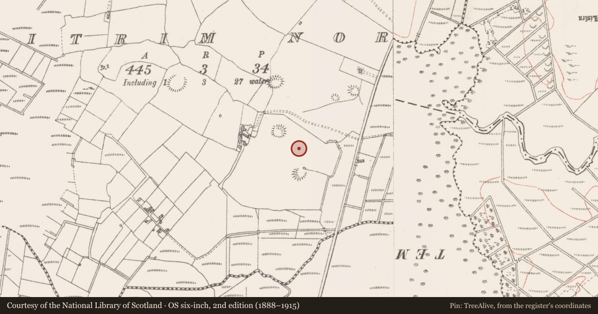 Ordnance Survey six-inch map, 2nd edition (1888–1915) covering the location of Bullaun stone, Leitrim North, County Sligo, with a pin at the register's coordinates