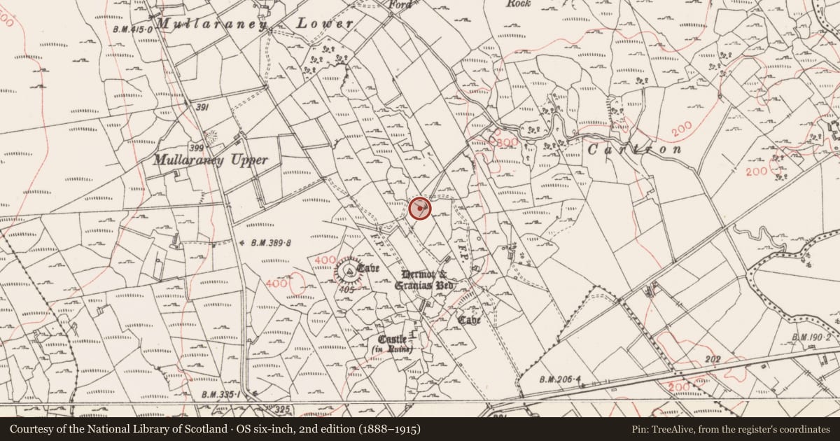 Ordnance Survey six-inch map, 2nd edition (1888–1915) covering the location of Fulacht fia, Castlerock Or Castlecarragh, County Sligo, with a pin at the register's coordinates