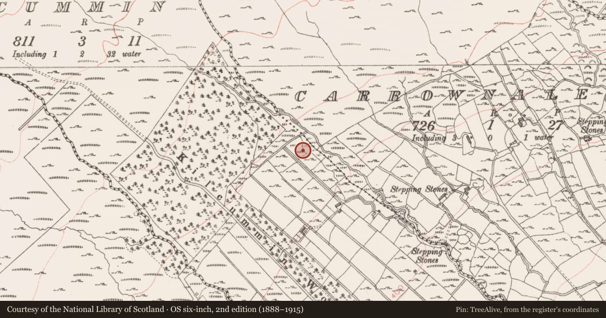 Ordnance Survey six-inch map, 2nd edition (1888–1915) covering the location of Kiln - lime, Kilcummin, County Sligo, with a pin at the register's coordinates