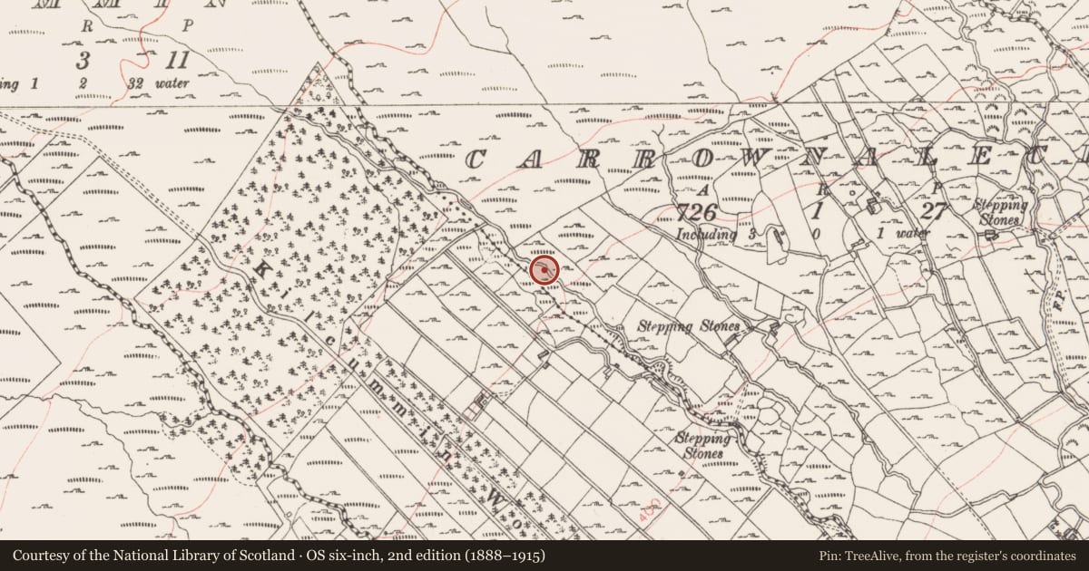 Ordnance Survey six-inch map, 2nd edition (1888–1915) covering the location of Kiln - lime, Kilcummin, County Sligo, with a pin at the register's coordinates