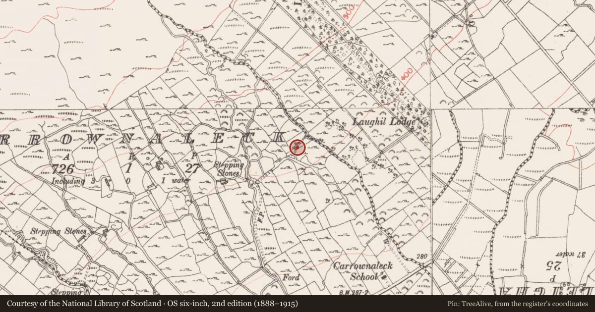 Ordnance Survey six-inch map, 2nd edition (1888–1915) covering the location of Cross-inscribed stone, Carrownaleck, County Sligo, with a pin at the register's coordinates