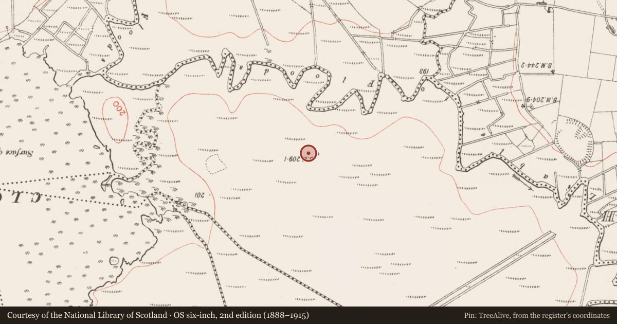 Ordnance Survey six-inch map, 2nd edition (1888–1915) covering the location of Ringfort - rath, Cloonbaniff, County Sligo, with a pin at the register's coordinates