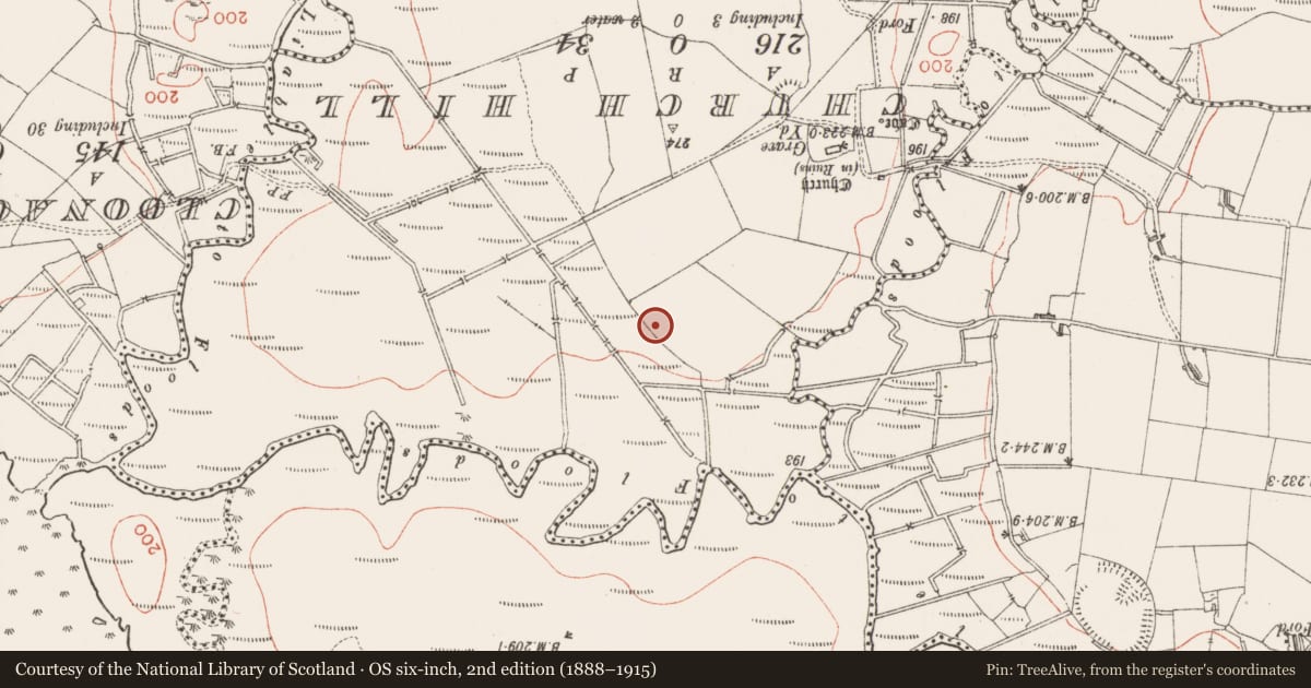 Ordnance Survey six-inch map, 2nd edition (1888–1915) covering the location of Megalithic tomb - court tomb, Cloondrihara, County Sligo, with a pin at the register's coordinates