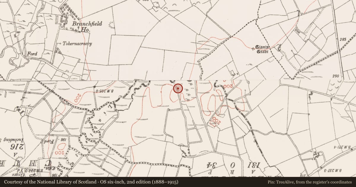 Ordnance Survey six-inch map, 2nd edition (1888–1915) covering the location of Souterrain, Carrownacreevy, County Sligo, with a pin at the register's coordinates