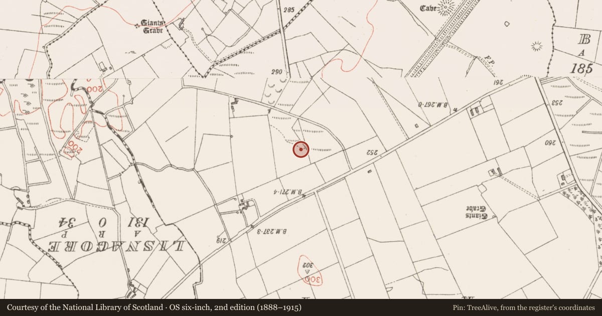 Ordnance Survey six-inch map, 2nd edition (1888–1915) covering the location of Ringfort - cashel, Cashel North, County Sligo, with a pin at the register's coordinates