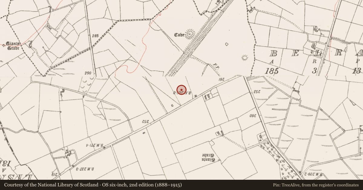 Ordnance Survey six-inch map, 2nd edition (1888–1915) covering the location of Ringfort - rath, Cashel North, County Sligo, with a pin at the register's coordinates