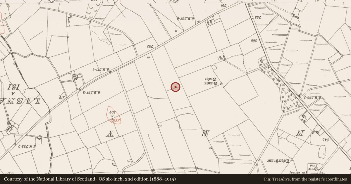 Ordnance Survey six-inch map, 2nd edition (1888–1915) covering the location of Souterrain, Cashel North, County Sligo, with a pin at the register's coordinates