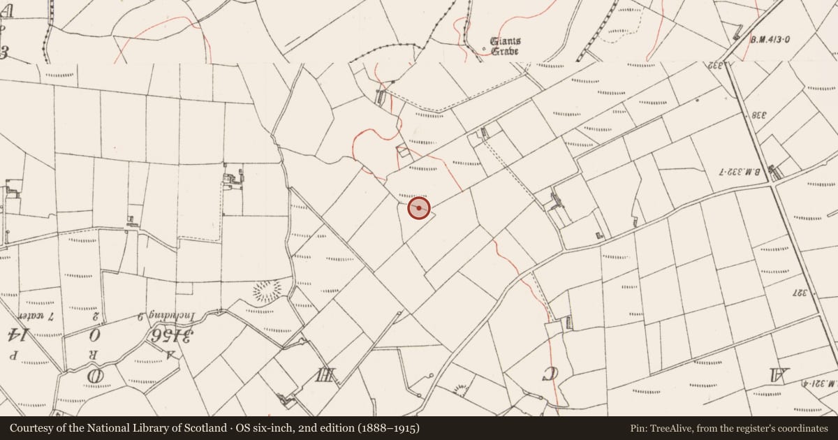 Ordnance Survey six-inch map, 2nd edition (1888–1915) covering the location of Ringfort - rath, Gortnadrass, County Sligo, with a pin at the register's coordinates