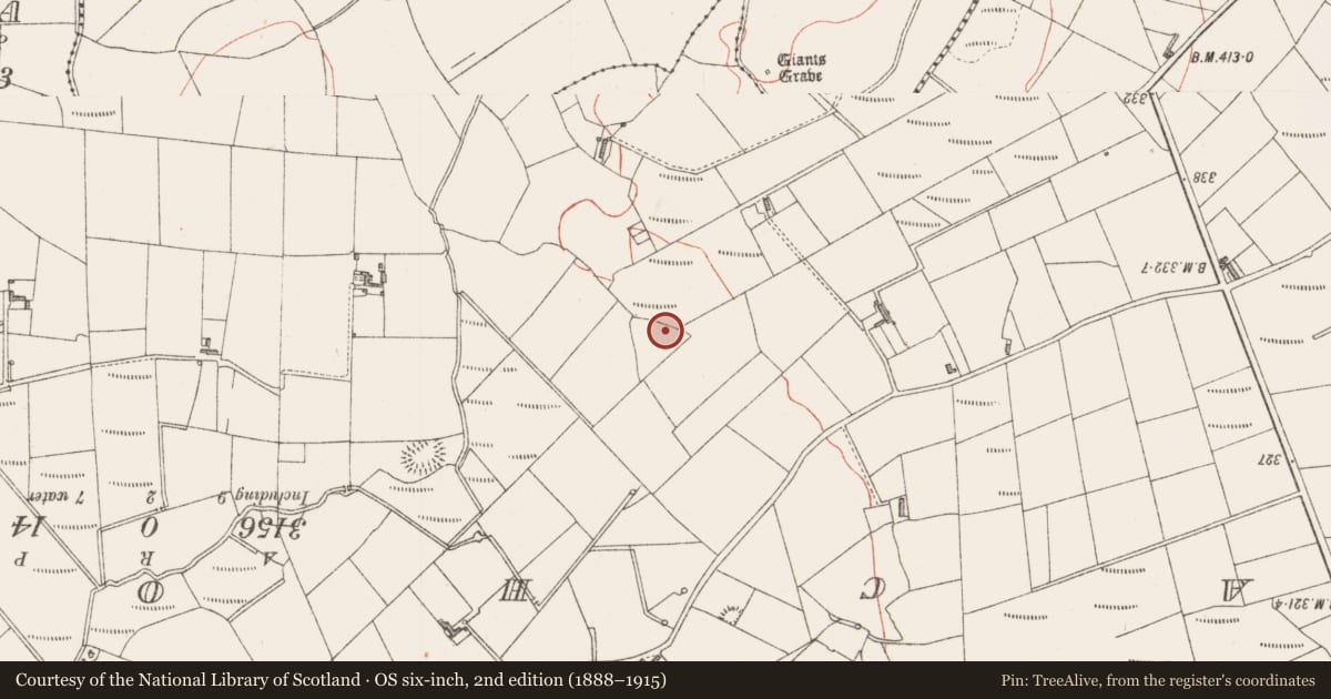 Ordnance Survey six-inch map, 2nd edition (1888–1915) covering the location of Souterrain, Gortnadrass, County Sligo, with a pin at the register's coordinates