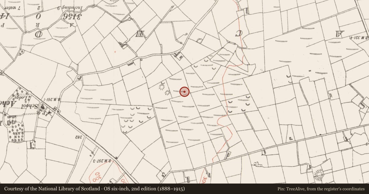 Ordnance Survey six-inch map, 2nd edition (1888–1915) covering the location of Ringfort - rath, Gortnadrass, County Sligo, with a pin at the register's coordinates