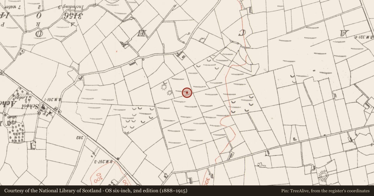 Ordnance Survey six-inch map, 2nd edition (1888–1915) covering the location of Souterrain, Gortnadrass, County Sligo, with a pin at the register's coordinates