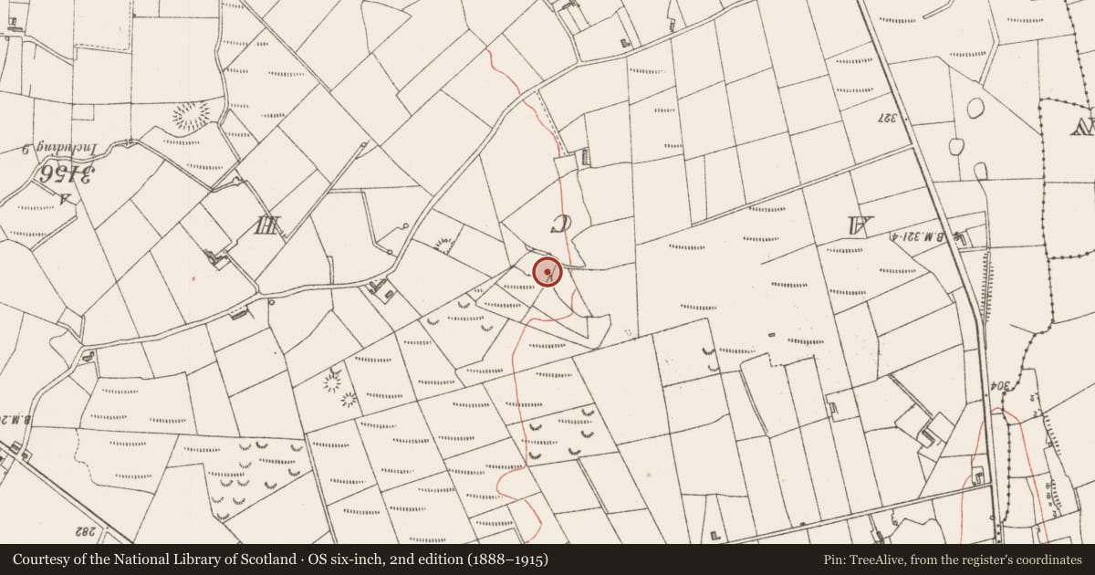 Ordnance Survey six-inch map, 2nd edition (1888–1915) covering the location of Souterrain, Gortnadrass, County Sligo, with a pin at the register's coordinates