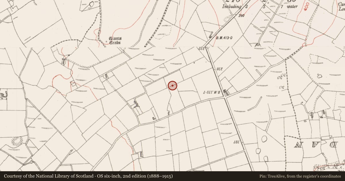 Ordnance Survey six-inch map, 2nd edition (1888–1915) covering the location of Hut site, Killoran South, County Sligo, with a pin at the register's coordinates