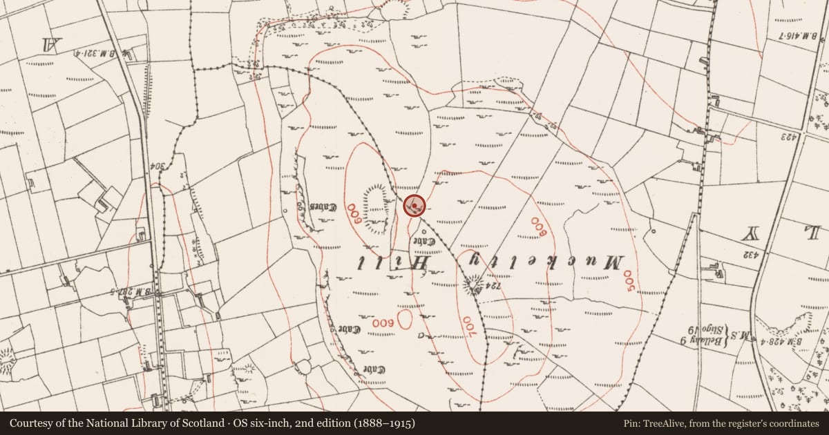 Ordnance Survey six-inch map, 2nd edition (1888–1915) covering the location of Barrow - mound barrow, Claragh Irish, County Sligo, with a pin at the register's coordinates