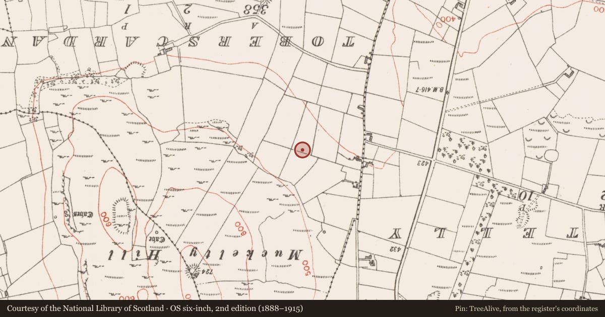 Ordnance Survey six-inch map, 2nd edition (1888–1915) covering the location of Ringfort - rath, Claragh Scotch, County Sligo, with a pin at the register's coordinates