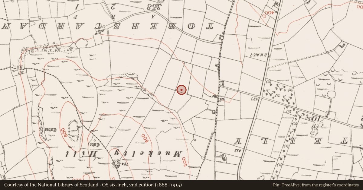 Ordnance Survey six-inch map, 2nd edition (1888–1915) covering the location of Hut site, Claragh Scotch, County Sligo, with a pin at the register's coordinates