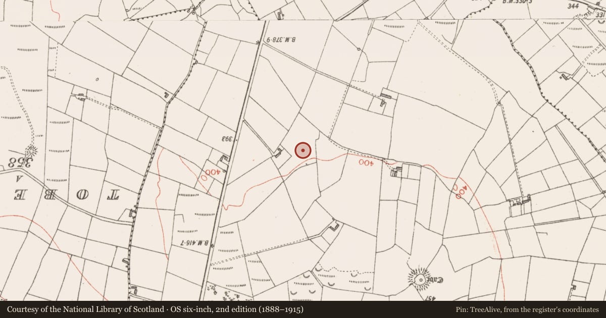 Ordnance Survey six-inch map, 2nd edition (1888–1915) covering the location of Ringfort - rath, Claragh Scotch, County Sligo, with a pin at the register's coordinates