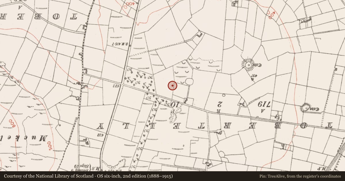 Ordnance Survey six-inch map, 2nd edition (1888–1915) covering the location of Enclosure, Claragh Scotch, County Sligo, with a pin at the register's coordinates
