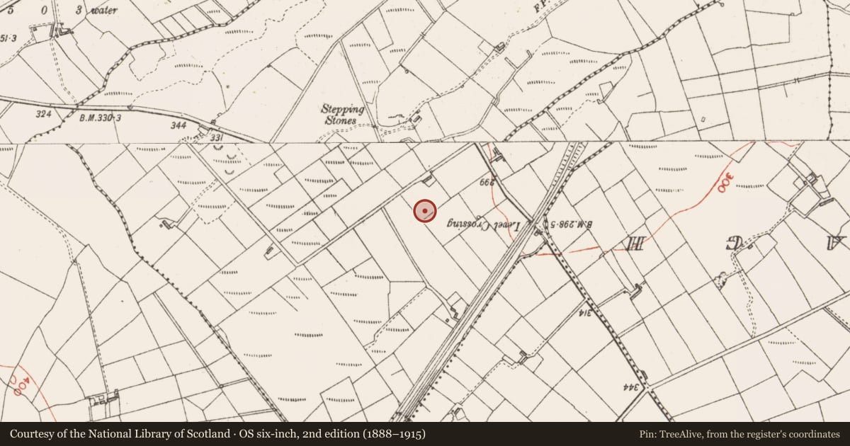 Ordnance Survey six-inch map, 2nd edition (1888–1915) covering the location of Ringfort - rath, Kilvarnet North, County Sligo, with a pin at the register's coordinates