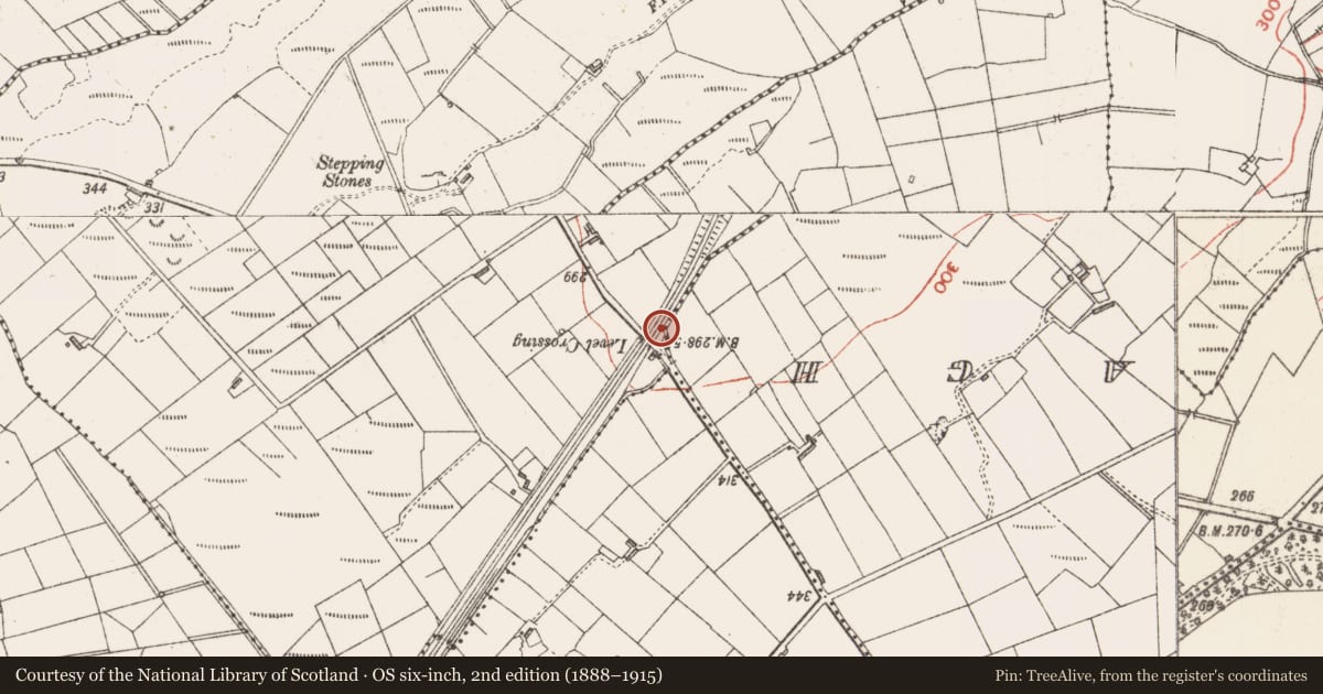 Ordnance Survey six-inch map, 2nd edition (1888–1915) covering the location of Ringfort - rath, Falnasoogaun Or Ropefield, County Sligo, with a pin at the register's coordinates