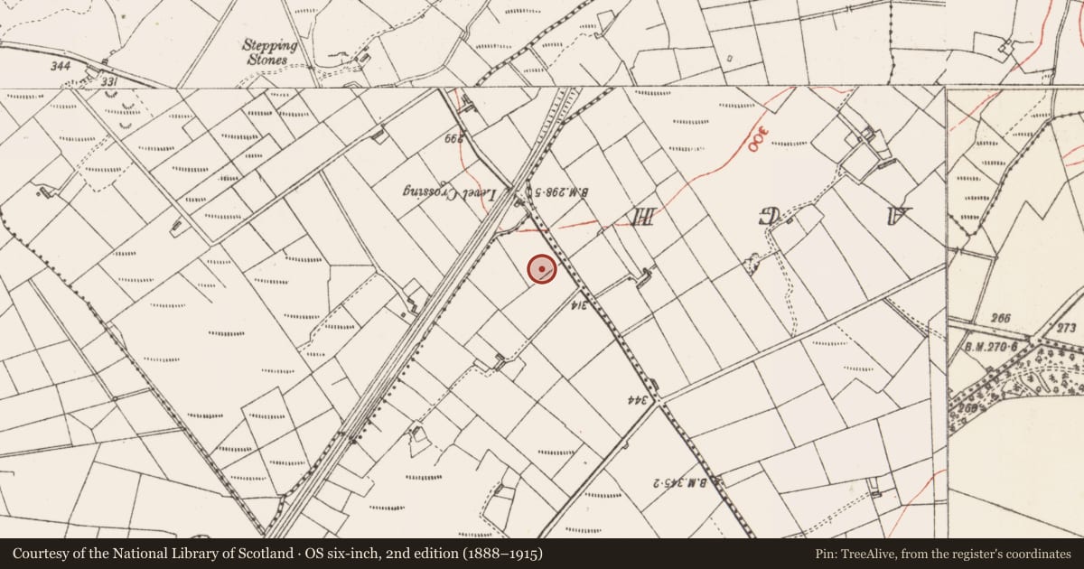 Ordnance Survey six-inch map, 2nd edition (1888–1915) covering the location of Ringfort - rath, Falnasoogaun Or Ropefield, County Sligo, with a pin at the register's coordinates