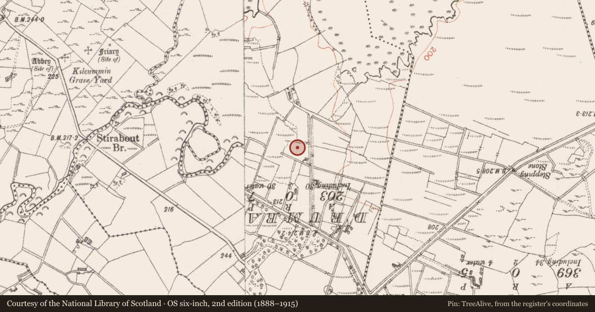 Ordnance Survey six-inch map, 2nd edition (1888–1915) covering the location of Ringfort - rath, Ballyglass, County Sligo, with a pin at the register's coordinates