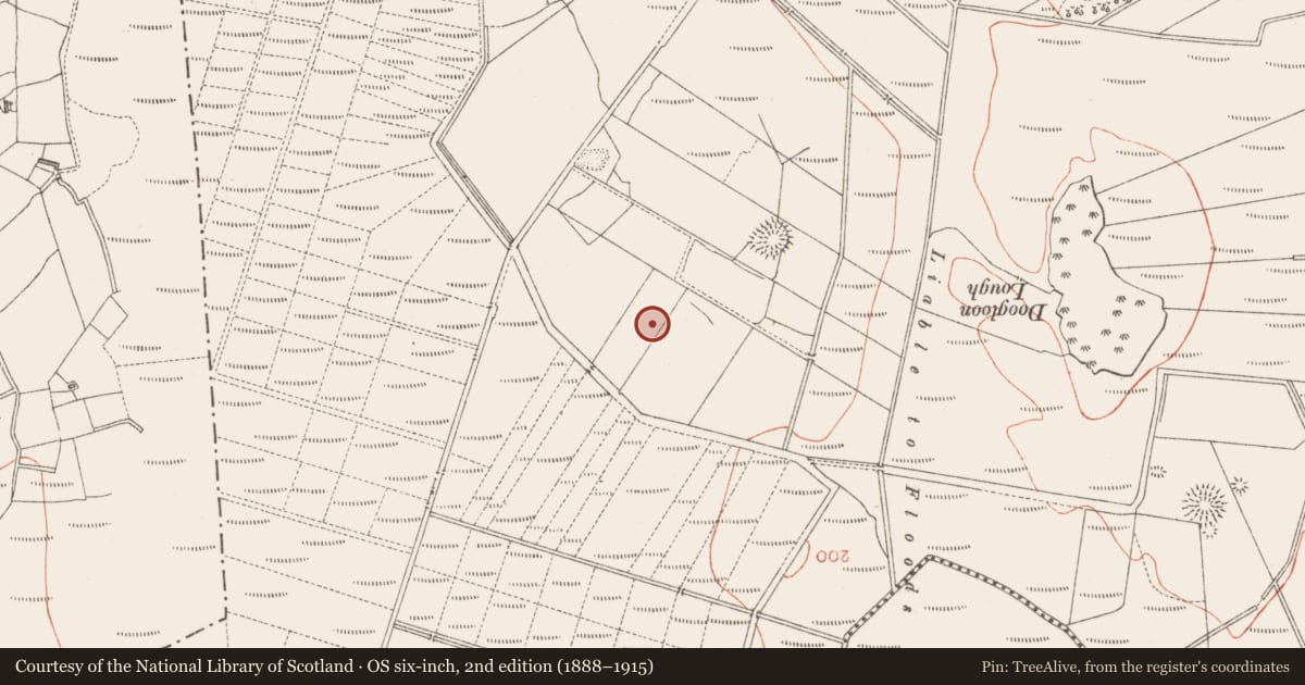 Ordnance Survey six-inch map, 2nd edition (1888–1915) covering the location of Ringfort - rath, Carrowntawa, County Sligo, with a pin at the register's coordinates