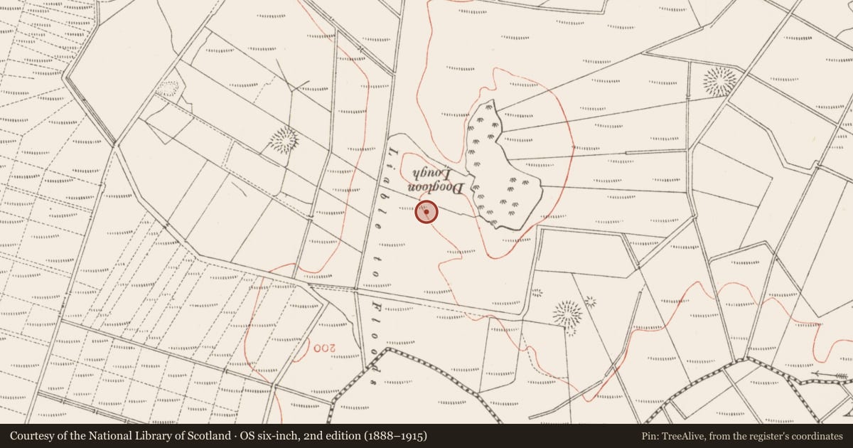 Ordnance Survey six-inch map, 2nd edition (1888–1915) covering the location of Ringfort - rath, Lavagh, County Sligo, with a pin at the register's coordinates