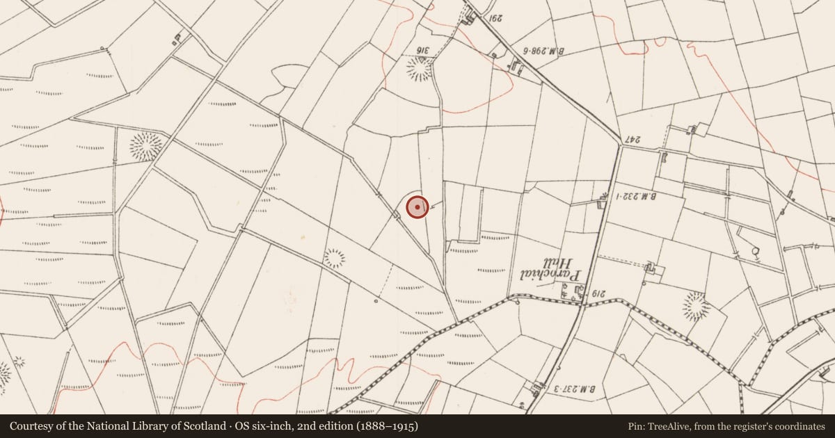 Ordnance Survey six-inch map, 2nd edition (1888–1915) covering the location of Religious house - Franciscan friars, Lavagh, County Sligo, with a pin at the register's coordinates