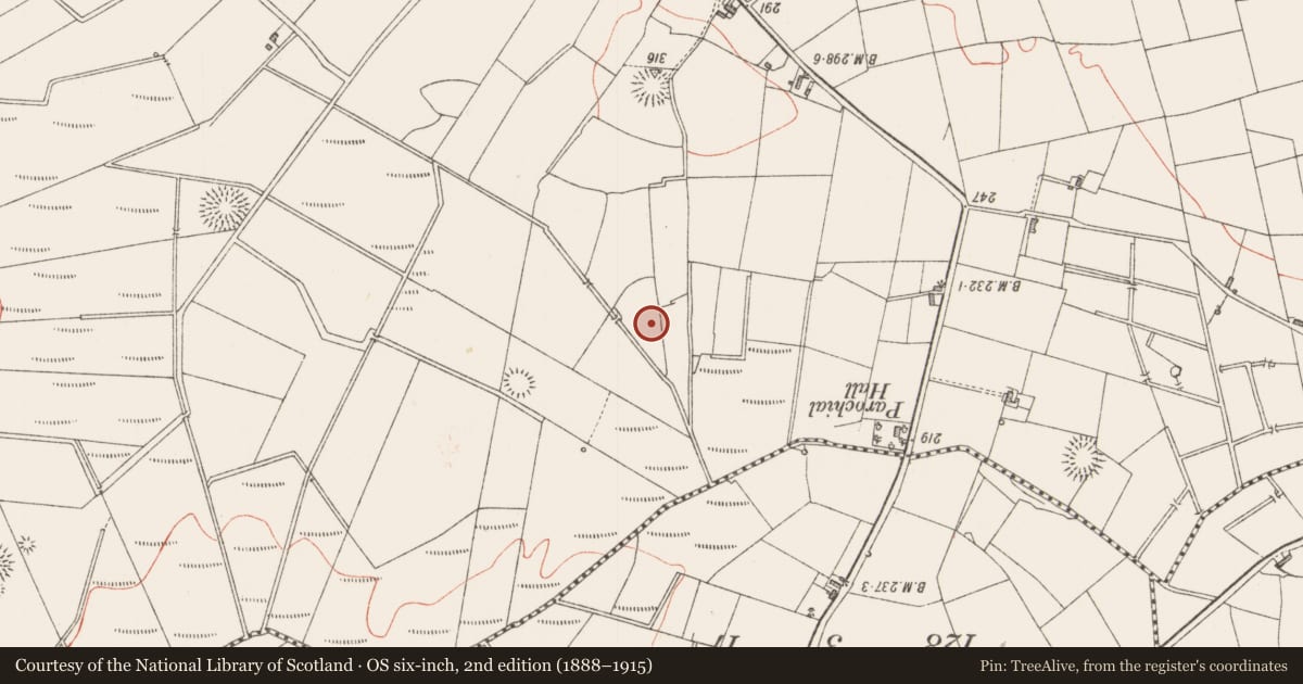 Ordnance Survey six-inch map, 2nd edition (1888–1915) covering the location of Graveyard, Lavagh, County Sligo, with a pin at the register's coordinates
