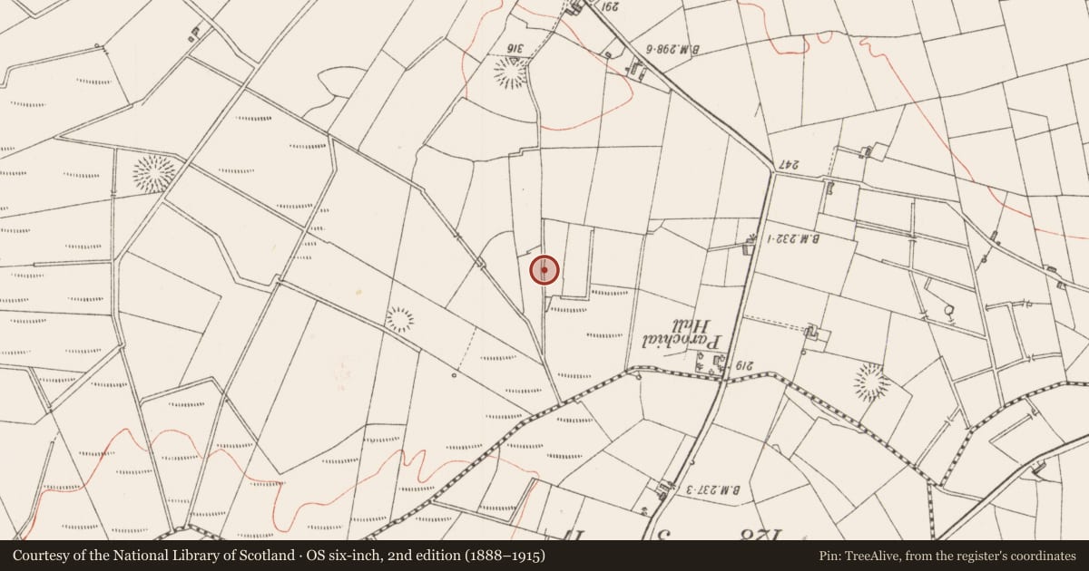 Ordnance Survey six-inch map, 2nd edition (1888–1915) covering the location of Ringfort - rath, Lavagh, County Sligo, with a pin at the register's coordinates