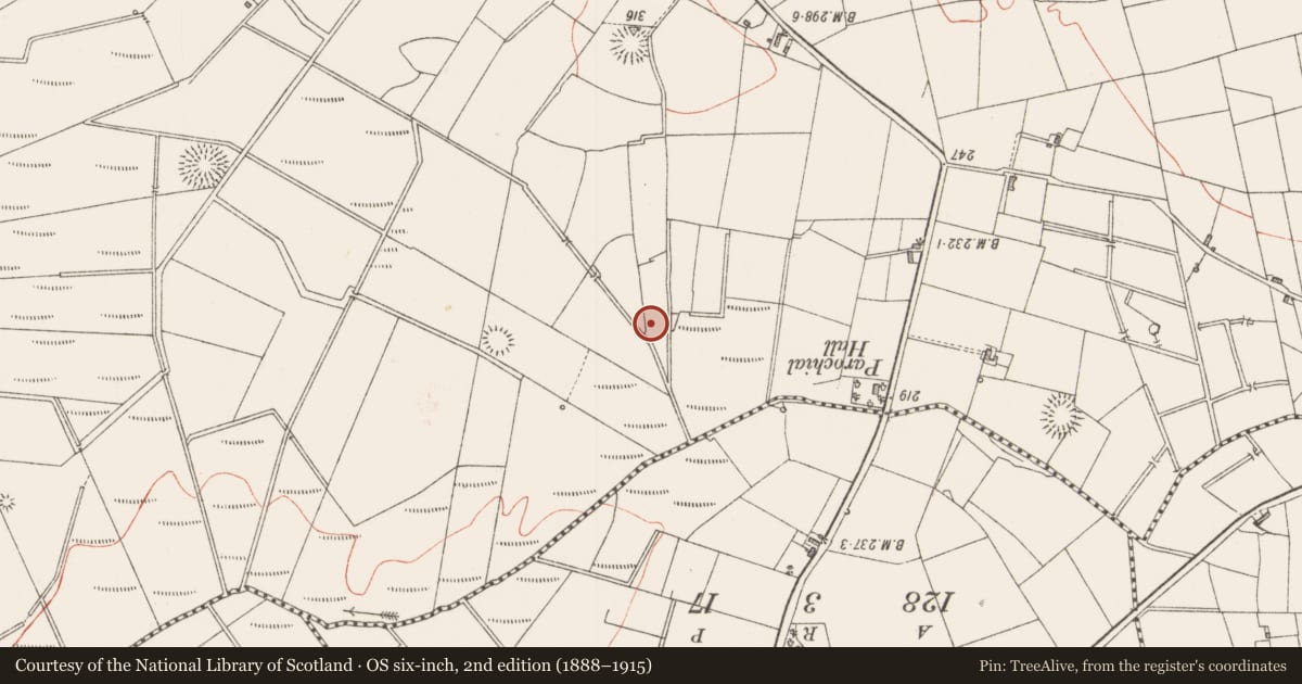 Ordnance Survey six-inch map, 2nd edition (1888–1915) covering the location of Field system, Lavagh, County Sligo, with a pin at the register's coordinates