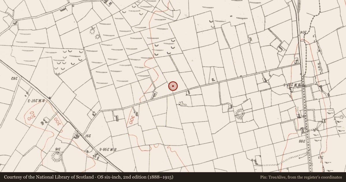 Ordnance Survey six-inch map, 2nd edition (1888–1915) covering the location of Field system, Gortnadrass, County Sligo, with a pin at the register's coordinates