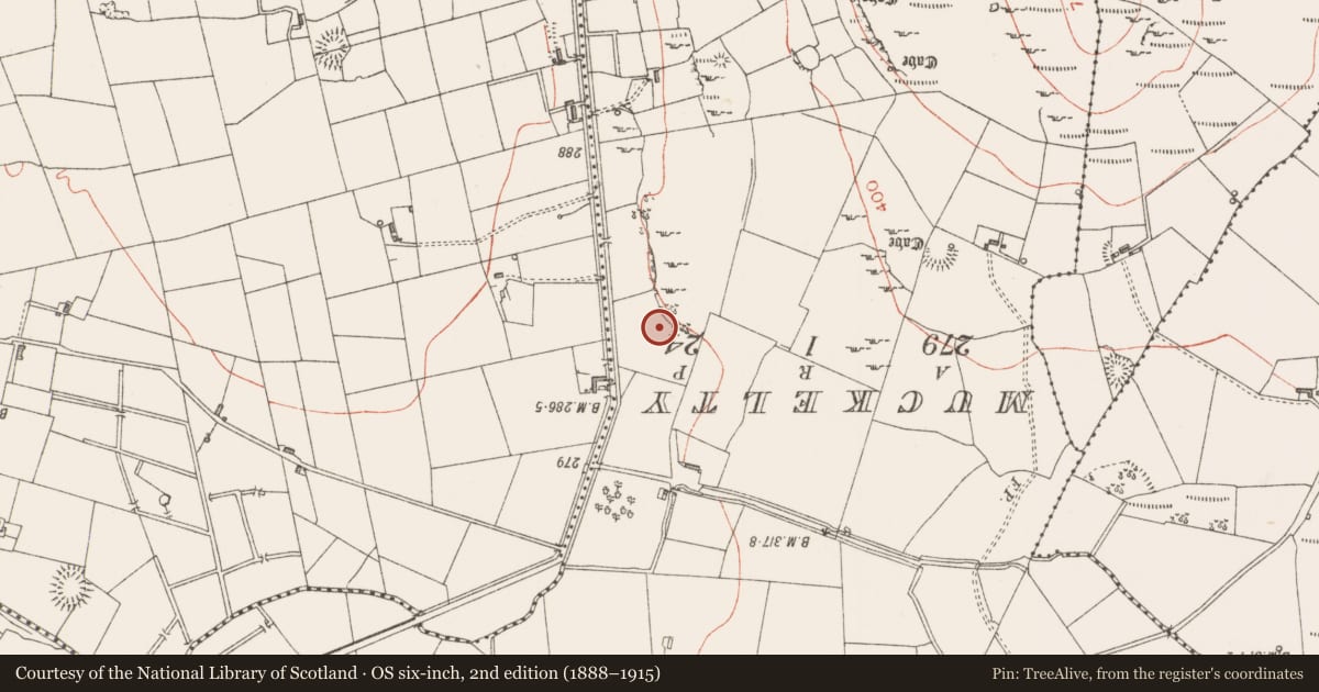 Ordnance Survey six-inch map, 2nd edition (1888–1915) covering the location of Souterrain, Cunghill, County Sligo, with a pin at the register's coordinates