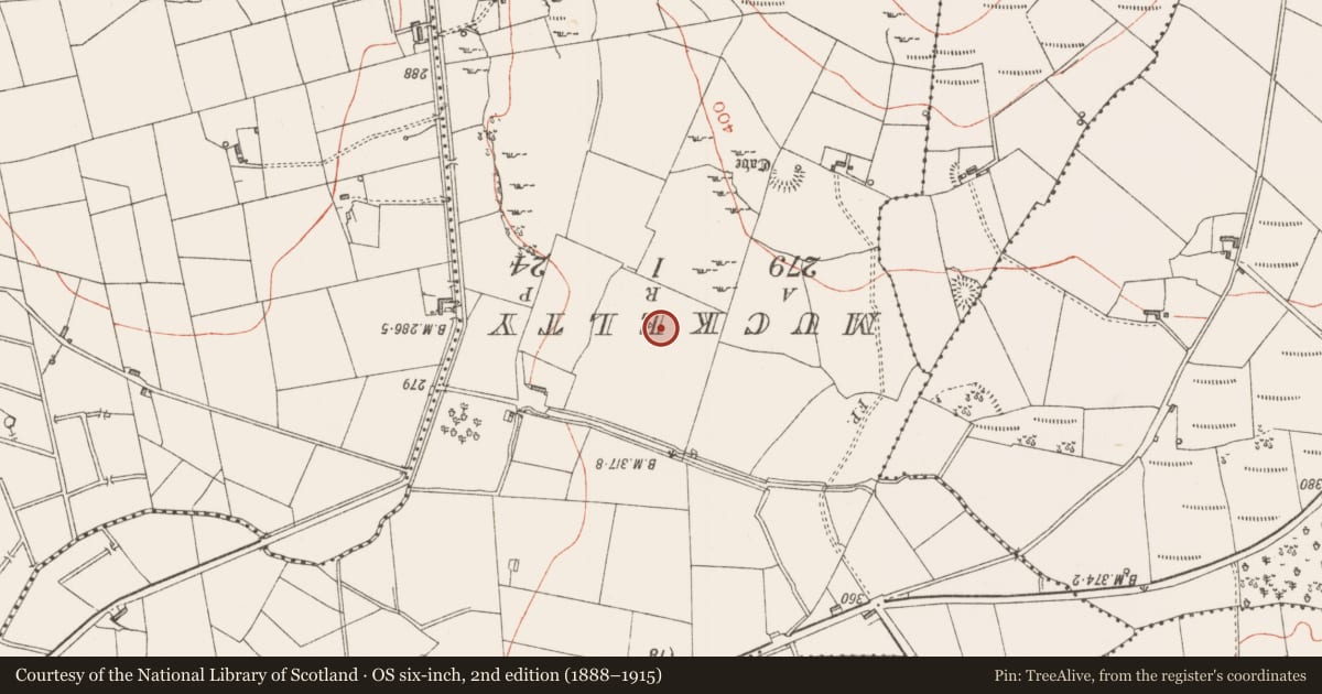 Ordnance Survey six-inch map, 2nd edition (1888–1915) covering the location of Ringfort - rath, Carrowreilly, County Sligo, with a pin at the register's coordinates