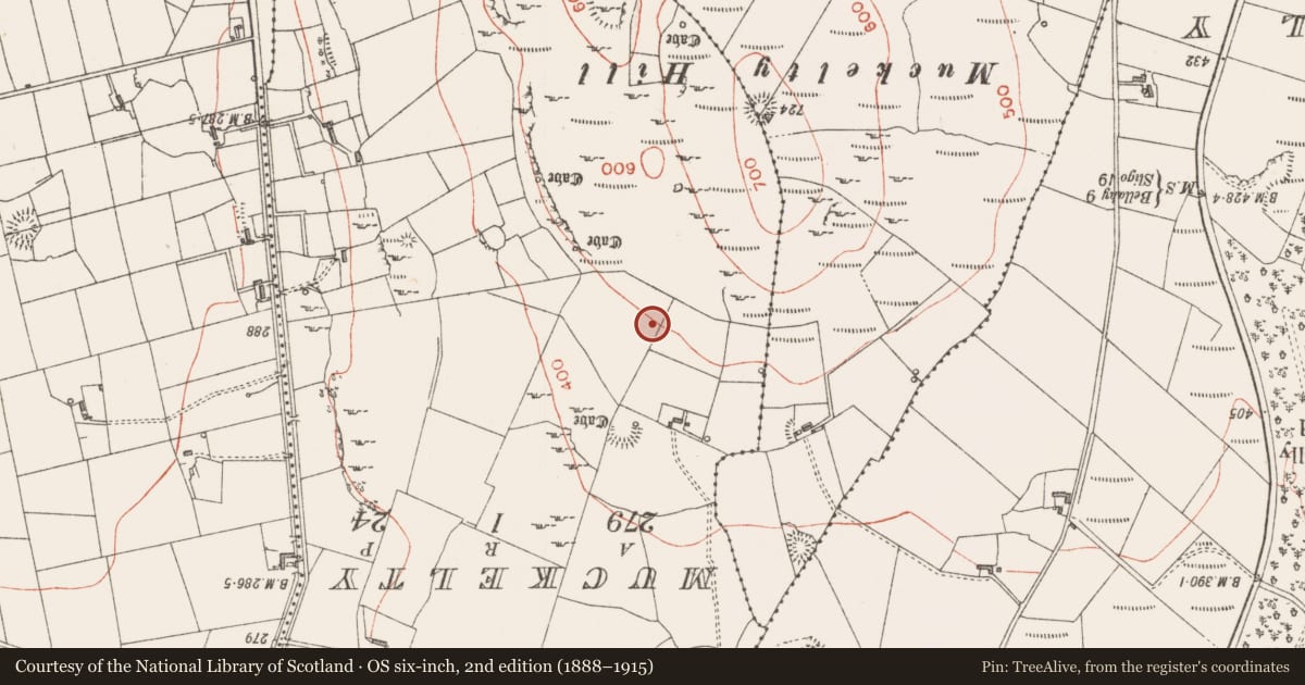 Ordnance Survey six-inch map, 2nd edition (1888–1915) covering the location of Ringfort - rath, Claragh Irish, County Sligo, with a pin at the register's coordinates