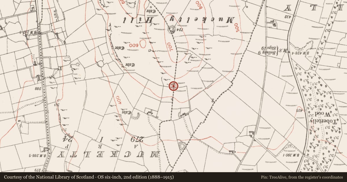 Ordnance Survey six-inch map, 2nd edition (1888–1915) covering the location of Ringfort - rath, Claragh Irish, County Sligo, with a pin at the register's coordinates