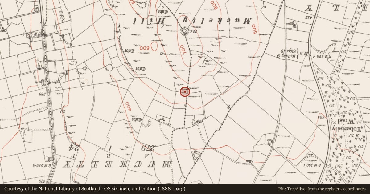 Ordnance Survey six-inch map, 2nd edition (1888–1915) covering the location of Souterrain, Claragh Irish, County Sligo, with a pin at the register's coordinates
