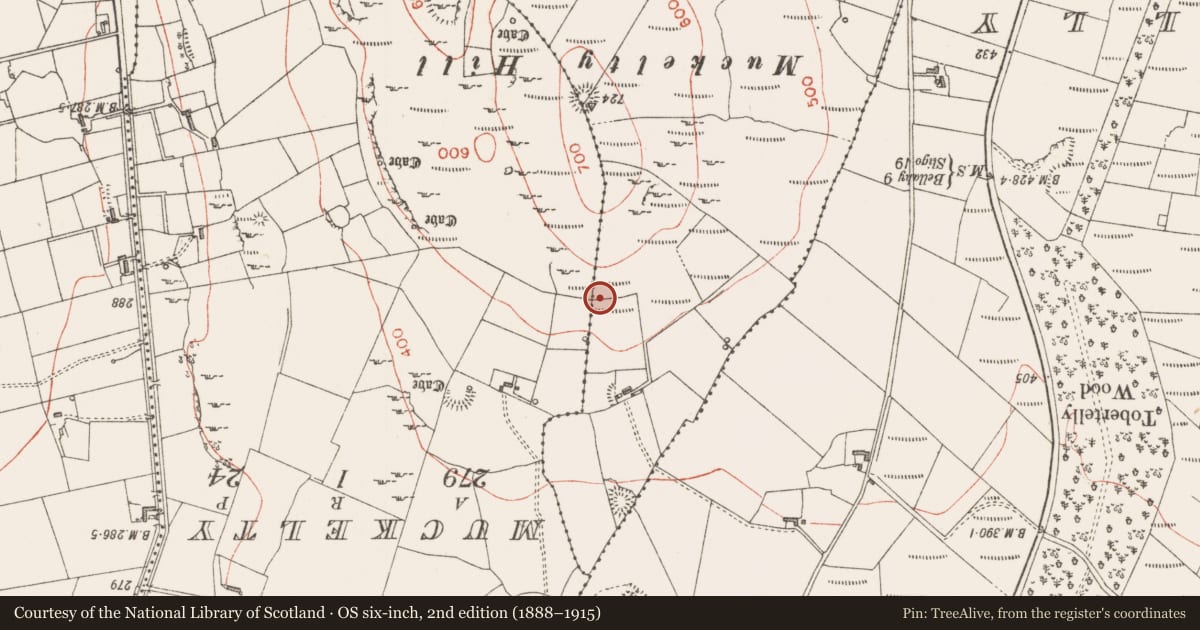 Ordnance Survey six-inch map, 2nd edition (1888–1915) covering the location of Hut site, Claragh Irish, County Sligo, with a pin at the register's coordinates