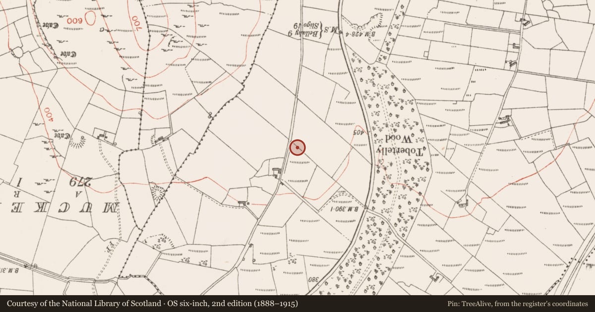 Ordnance Survey six-inch map, 2nd edition (1888–1915) covering the location of Ringfort - rath, Claragh Irish, County Sligo, with a pin at the register's coordinates