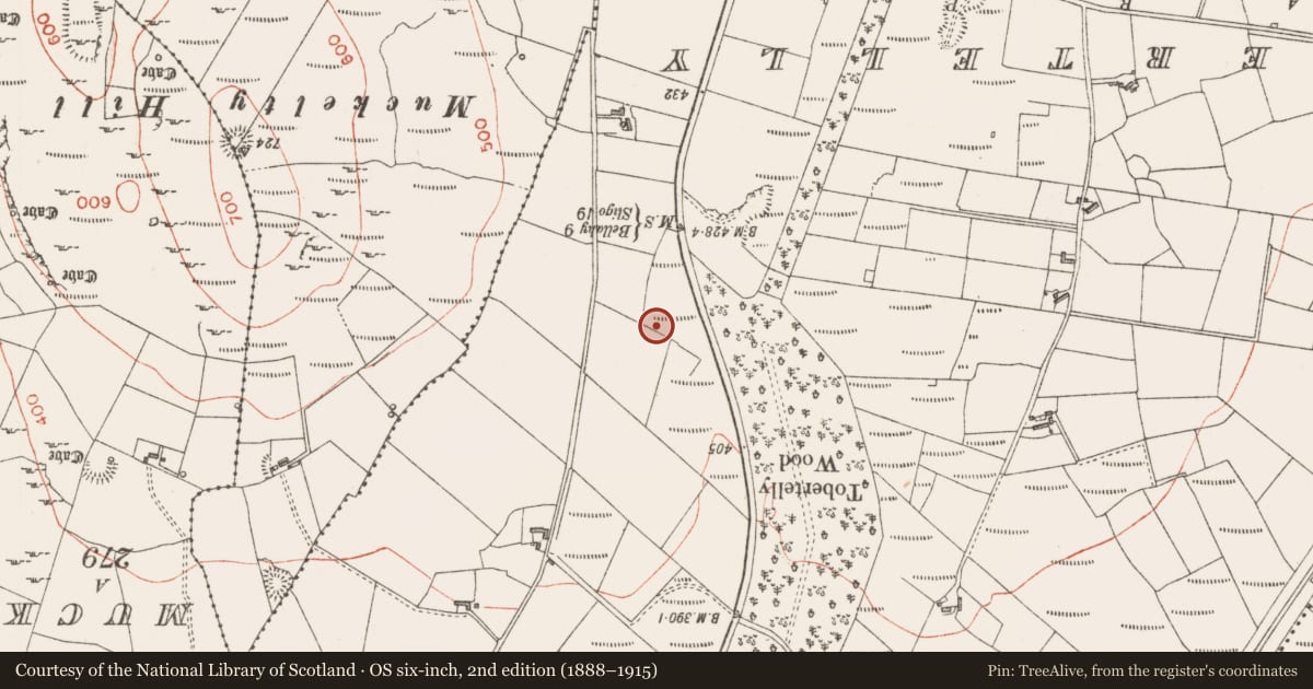 Ordnance Survey six-inch map, 2nd edition (1888–1915) covering the location of Enclosure, Claragh Irish, County Sligo, with a pin at the register's coordinates