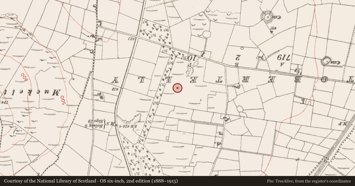Ordnance Survey six-inch map, 2nd edition (1888–1915) covering the location of Ringfort - rath, Claragh Scotch, County Sligo, with a pin at the register's coordinates